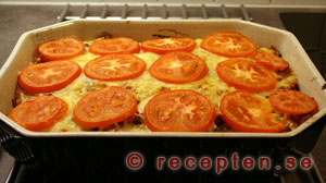 Hela pastagratängen pastagratängen