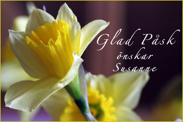 glad pask