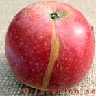 äpplen med rand