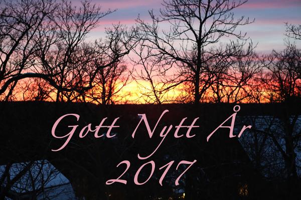 Gott Nytt År 2017