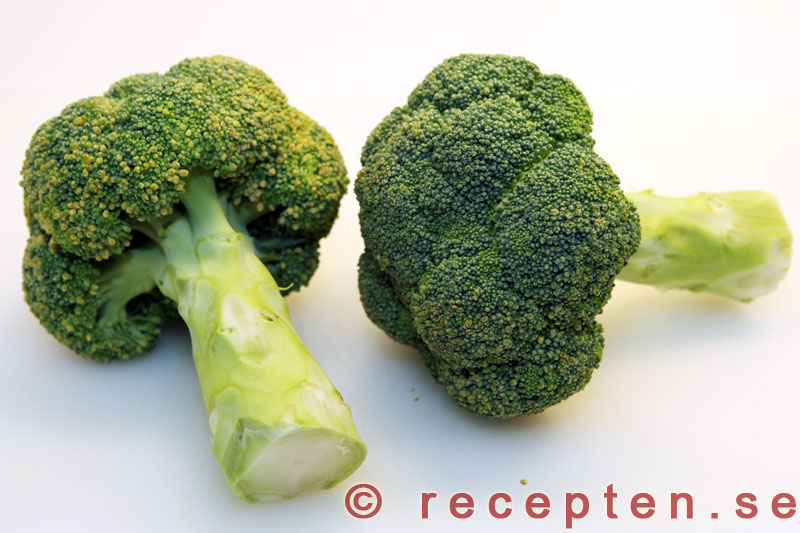 broccoli broccoli