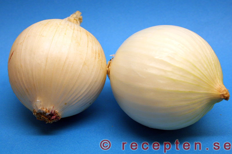 Recept med och information om silverlök silverlök
