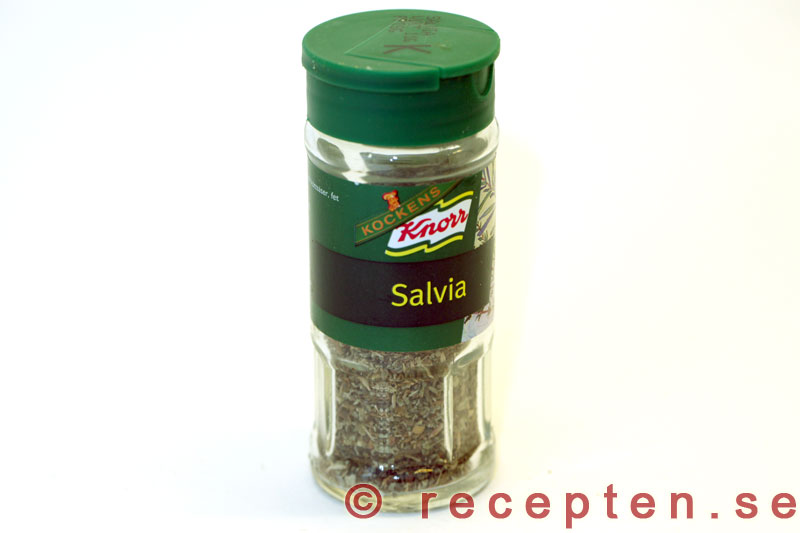Salvia salvia