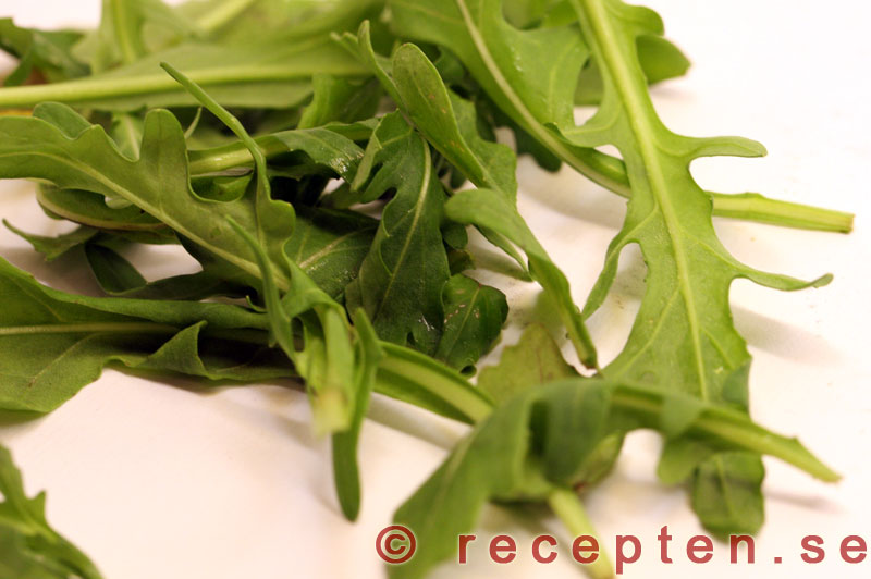 Ruccola - en sorts sallad ruccola
