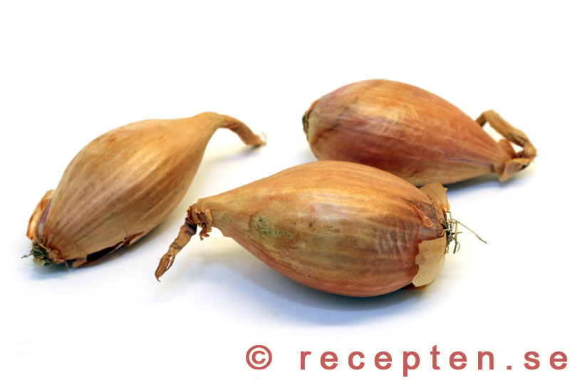 Schalottenlök schalottenlök
