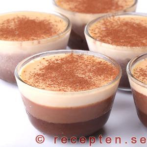 Trippelchokladterrin trippelchokladterrin